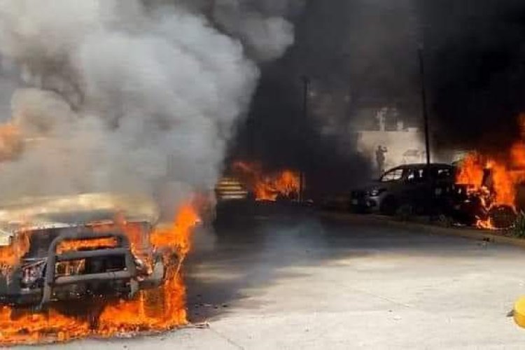 Pide en el Senado comparecencia del gabinete de seguridad por violencia en Guerrero