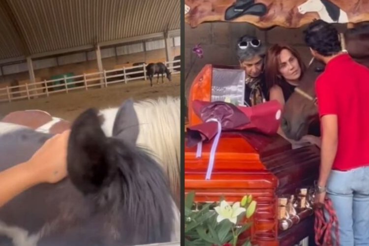 Caballos dan último adiós a Elena Larrea en Cuacolandia