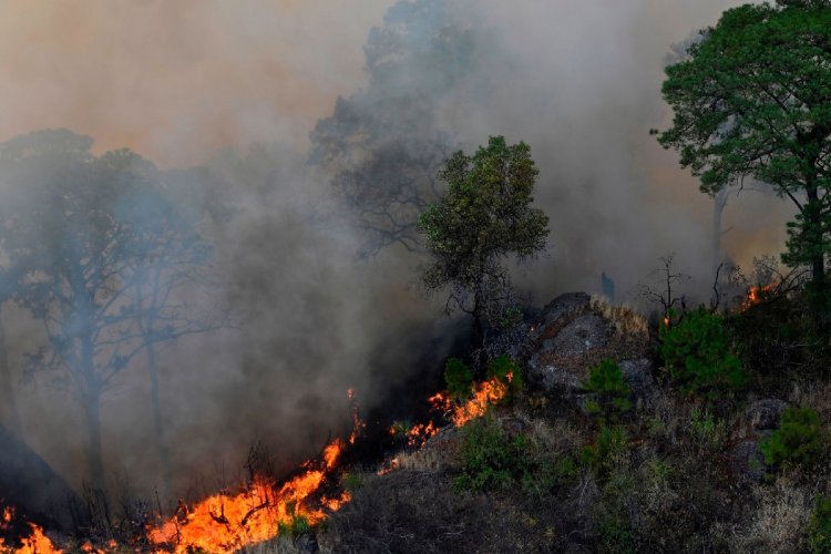 Reportan múltiples incendios en Hidalgo este fin de semana