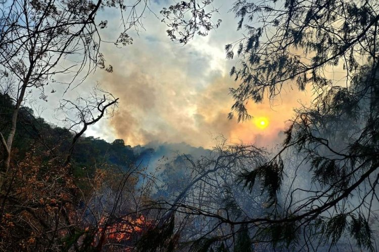 Suman esfuerzos para erradicar incendios forestales en Edomex