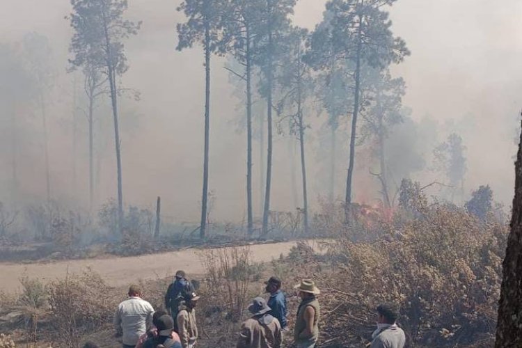 Van cinco muertos en incendios forestales en el Edomex