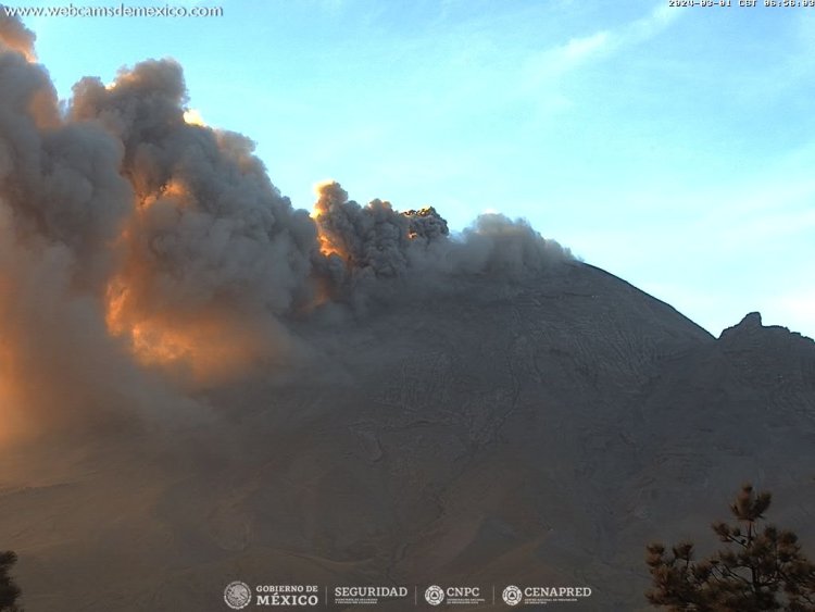 Cancelan vuelos por ceniza del volcán Popocatépetl