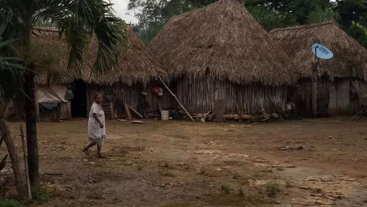 Pobladores de la zona maya de Quintana Roo condenados a vivir en pobreza