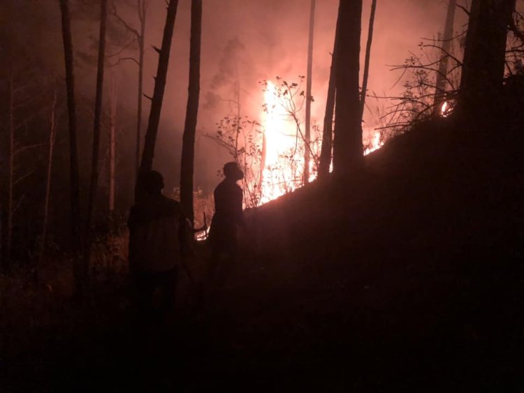 Mueren tres brigadistas durante incendio en el municipio de Donato Guerra, Edomex