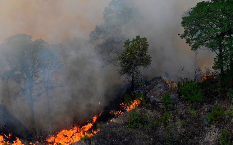 Reportan múltiples incendios en Hidalgo este fin de semana