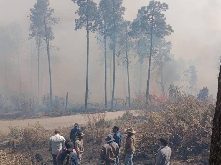 Van cinco muertos en incendios forestales en el Edomex