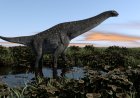 Descubren en Argentina nuevos restos de un Titanosaurio