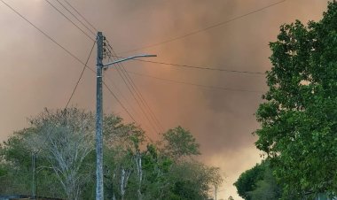 Incendios forestales alcanzan a zonas arqueológicas de Yucatán