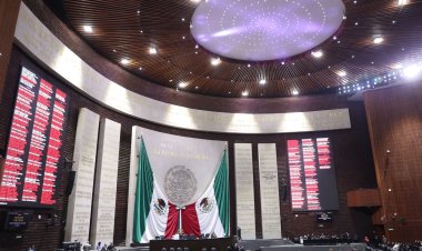 Elección 2024: poco menos de la mitad de candidatos a diputados federales cuentan con licenciatura