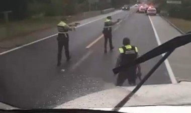 Registran enfrentamiento entre Guardia Nacional y grupo armado en Veracruz