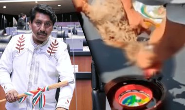 Deciden sancionar a Adolfo Gómez Hernández, senador de Morena por sacrificio de gallina en ritual