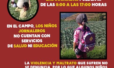 Infografía: Niños Jornaleros en México