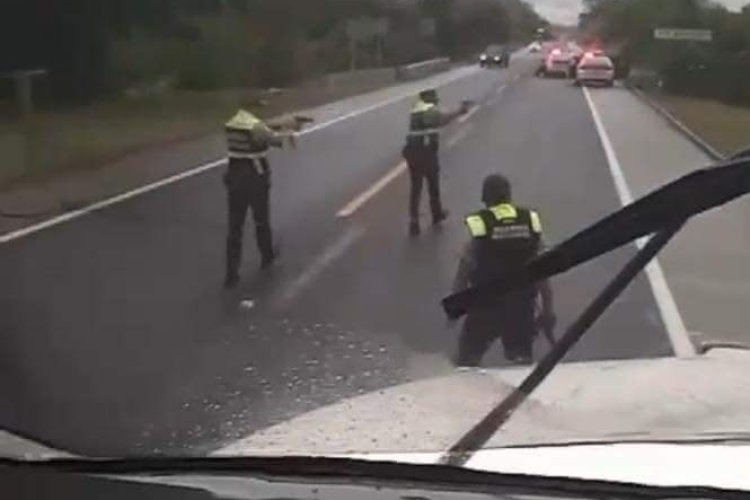 Registran enfrentamiento entre Guardia Nacional y grupo armado en Veracruz