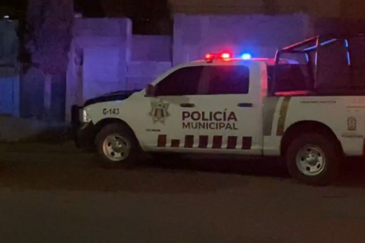 Asesinan a cuatro personas durante pelea clandestina de gallos en Zacatecas