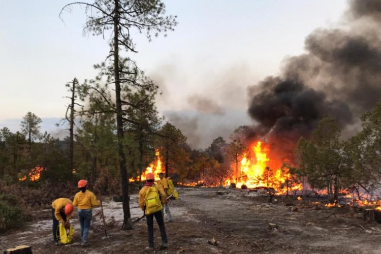 Emergencia en Chihuahua tras incendios que afectan a siete municipios