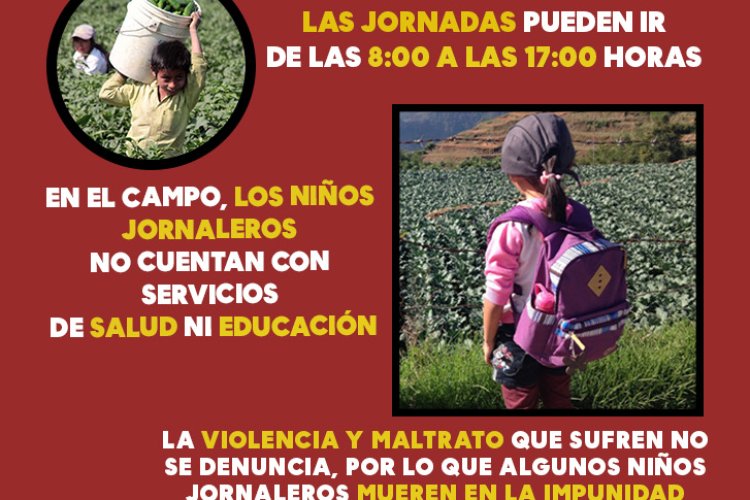 Infografía: Niños Jornaleros en México