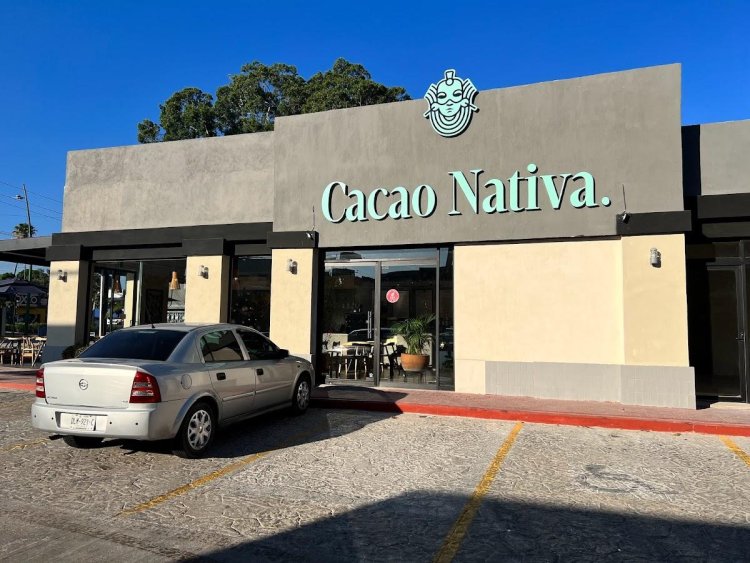 Denuncian a Cacao Nativa por despido injustificado