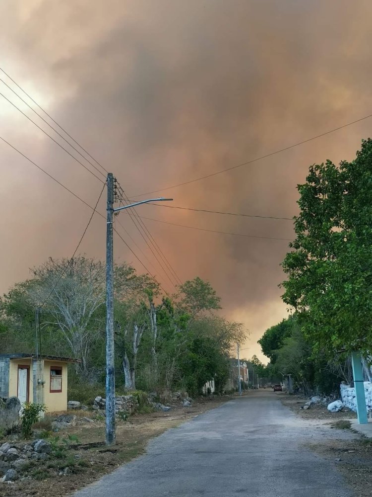 Incendios forestales alcanzan a zonas arqueológicas de Yucatán