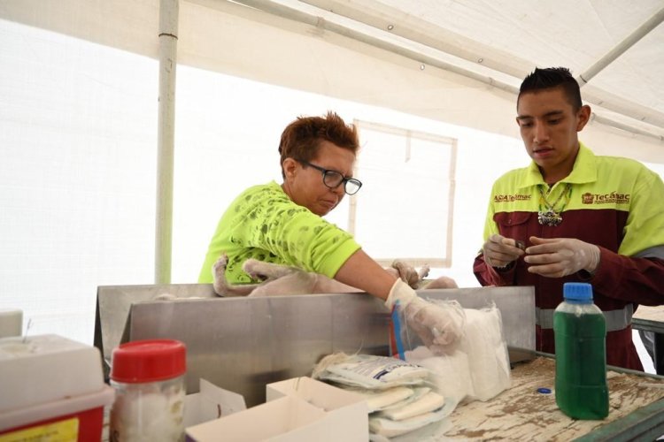 Anuncian calendario de esterilizaciones para mascotas en Tecámac, Edomex