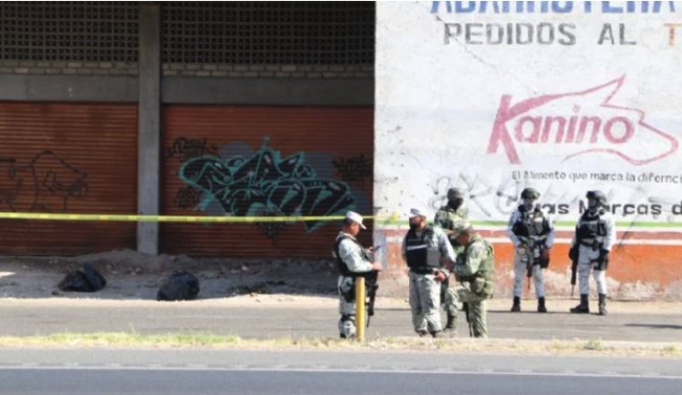 Abandonan restos humanos cerca de la Central de Abastos de Irapuato