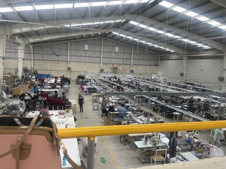 Despidos masivos respaldados por el gobierno de la 4T, señala Defensoría Nacional