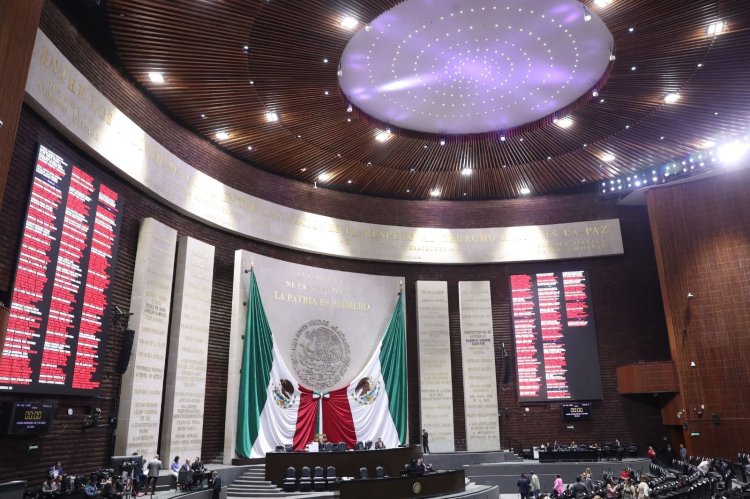 Elección 2024: poco menos de la mitad de candidatos a diputados federales cuentan con licenciatura