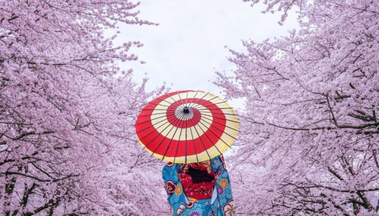 No te pierdas el Festival Japonés de Primavera en la CDMX