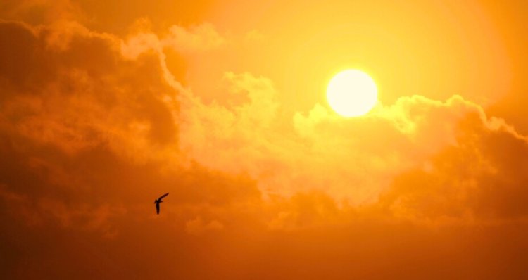 Prevén que para esta fecha termine la ola de calor