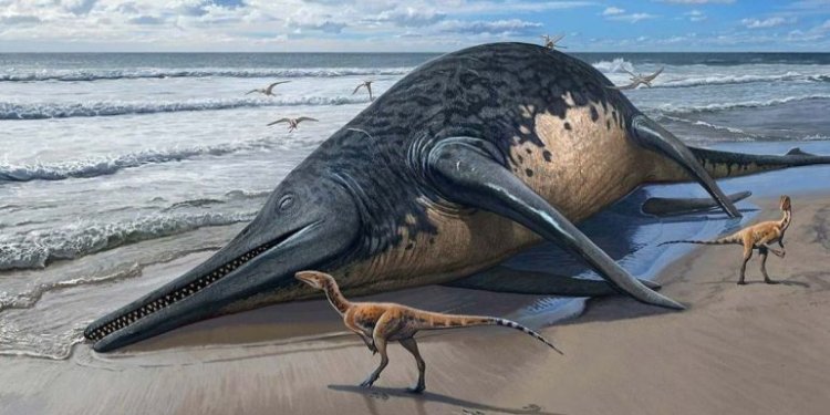 Científicos descubren nueva especie de dinosaurio marino