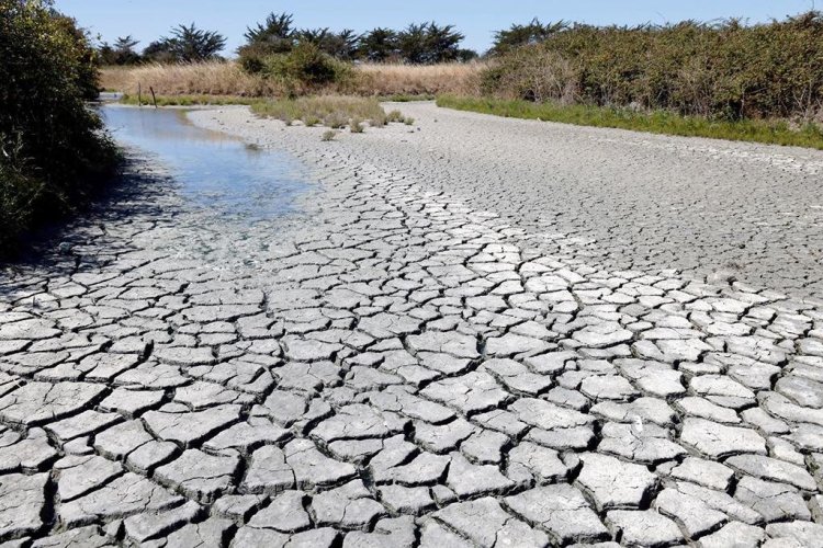 De llegar el Día Cero esta sería la primer ciudad en quedarse sin agua en México