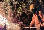 Despliegan brigadistas para combatir incendios en Valle de Bravo, Edomex