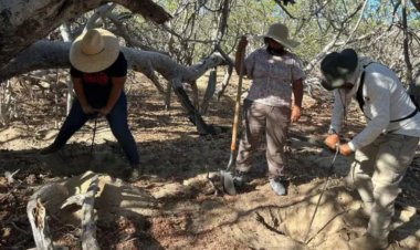 Colectivo de búsqueda localizó restos humanos en fosas clandestinas en Nogales