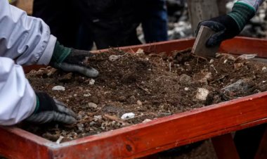 Colectivo de búsqueda localiza seis cuerpos en fosa clandestina de Guanajuato
