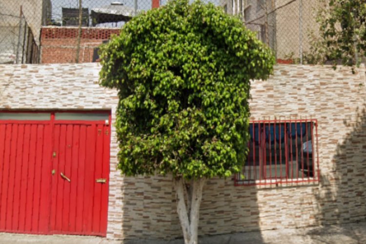 Encuentran cadáver en avanzado estado de descomposición en la Venustiano Carranza