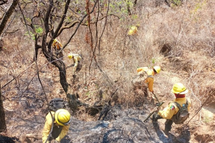 Este el avance que lleva el incendio forestal en Cuernavaca