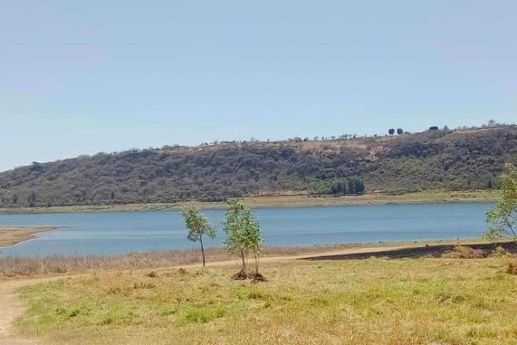 Presa Calderón a punto de llegar a su nivel crítico en Guadalajara