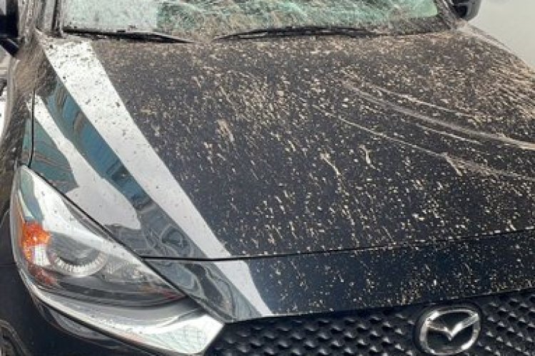 Cae estructura metálica del segundo piso del Periférico