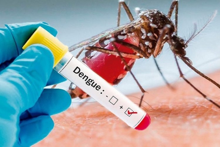 Cinco defunciones a causa del dengue en Nayarit