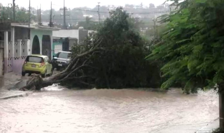 Sureste anegado por lluvias y encharcamientos
