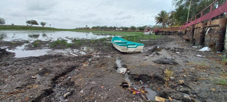 ‘Alberto’ recupera nivel de presas en Tamaulipas