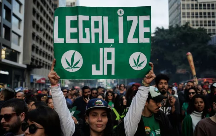 Brasil despenaliza consumo de marihuana