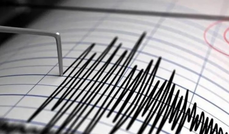 Perú registró sismo de 7 grados; hay alerta de tsunami