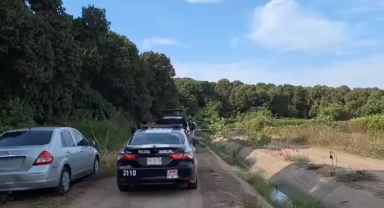 Encuentran cuatro cadáveres con manos cercenadas en Navolato, Sinaloa