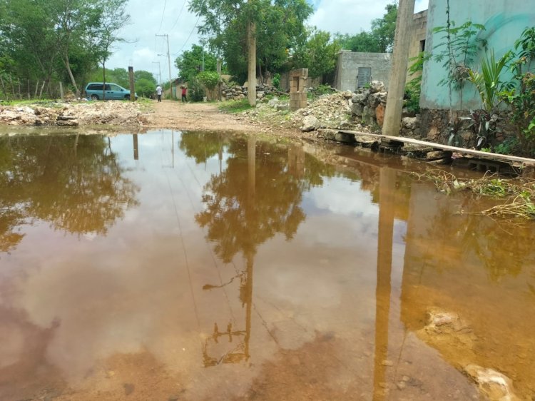 Temor por dengue en Yucatán; urgen a autoridades a tomar acciones