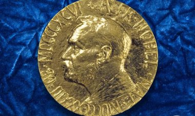 Infografía: Estos fueron los ganadores del Premio Nobel 2024