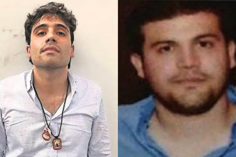 Hijos del “Chapo” Guzmán buscarán acuerdo con autoridades de EEUU