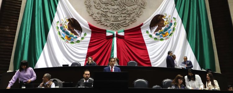 Salud, educación, seguridad y campo, víctimas del PEF 2025: Moreira Valdez