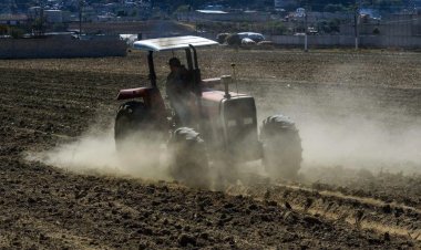 Retrasos administrativos de Segalmex afectan a más de mil productores en Durango