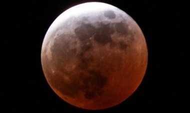 Galería: Así se vio el eclipse de la 