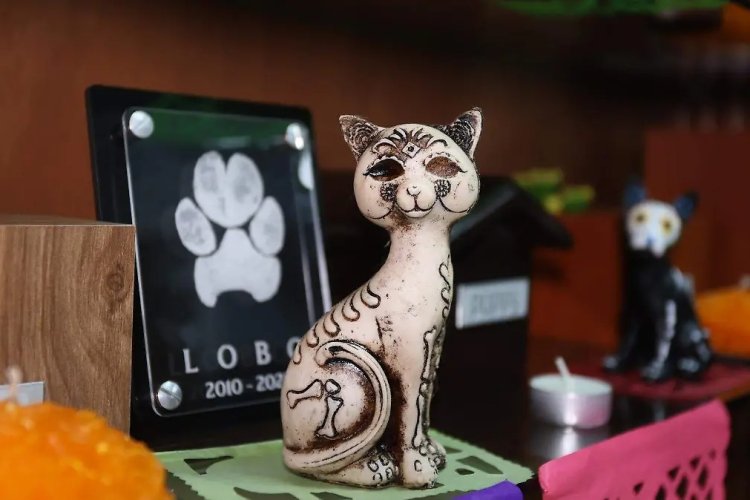 Ciudadanos de Ecatepec piden creación de crematorio para mascotas